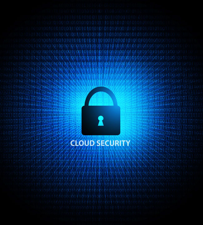 Cloud Security Services​